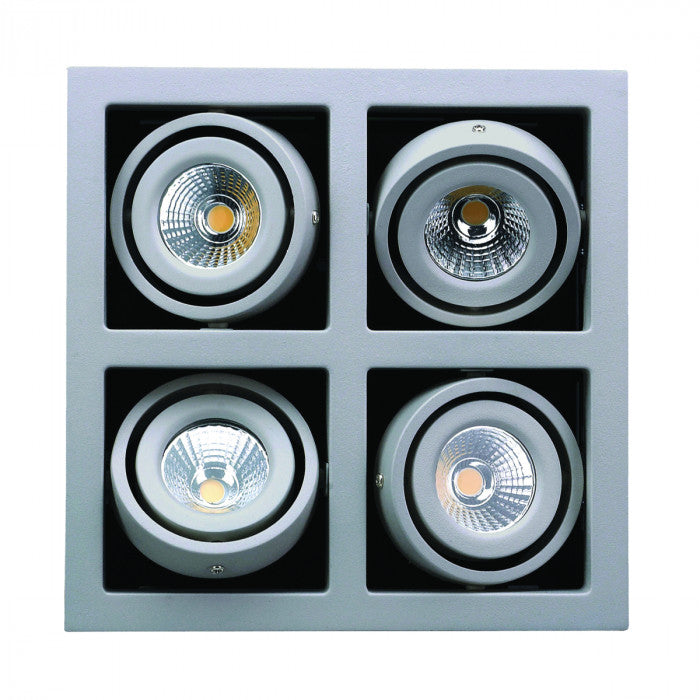 LED Quad Frame Light SI/WH
