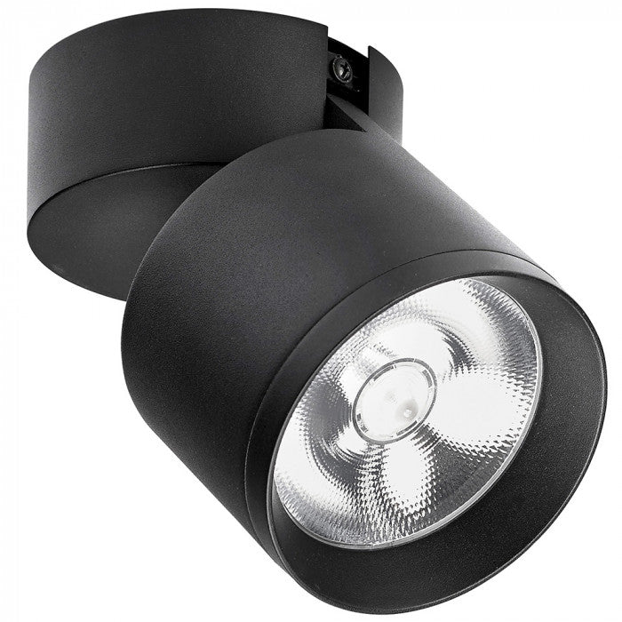 Titaha Downlight Spotlight BL/WH