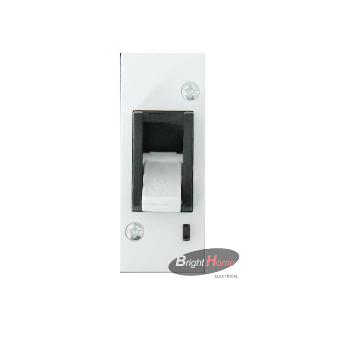Main switch 1P 80A 230VAC