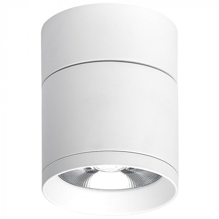 Titaha Downlight Spotlight BL/WH